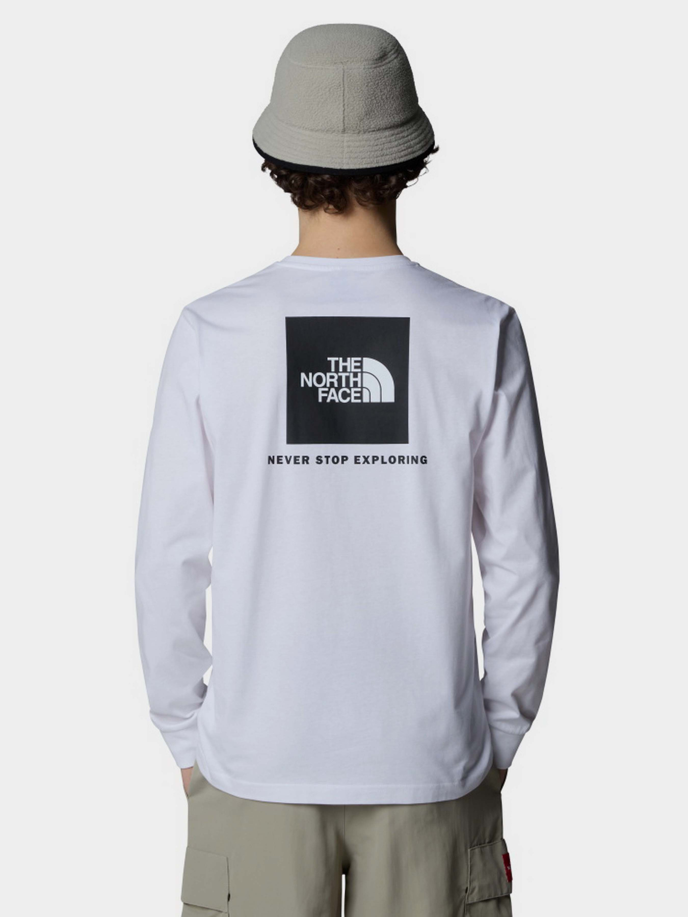 Худи и свитшоты The North Face NSE Box модель NF0A87NNFN41 Фото
