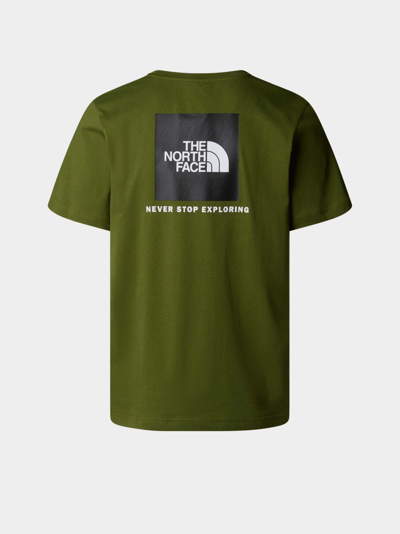 Футболки і поло The North Face NSE Box модель NF0A87NPDIW1 Футболки і поло The North Face NSE Box модель NF0A87NPDIW1 Фото