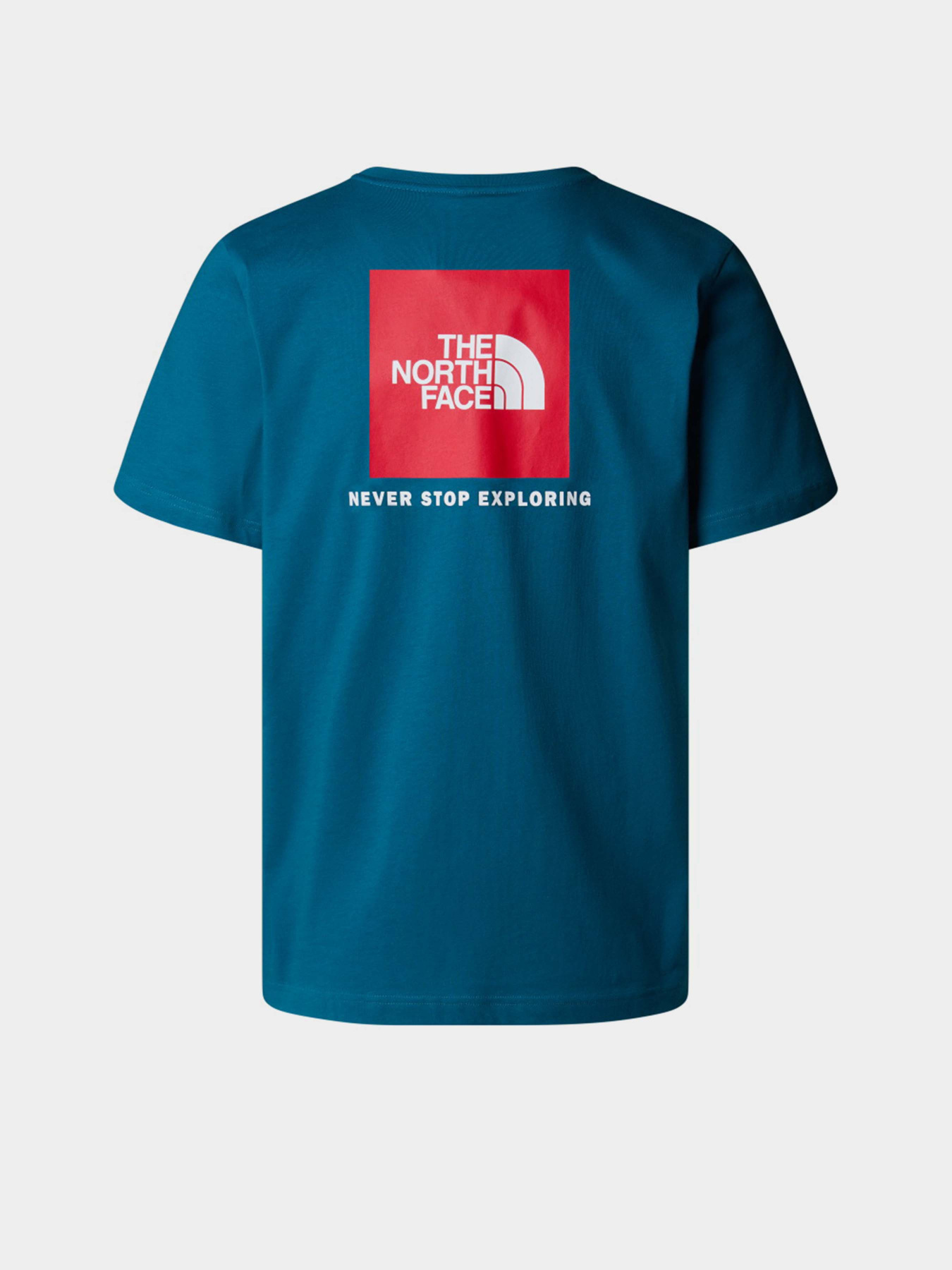 Футболки і поло The North Face NSE Box модель NF0A87NPF9T1 Футболки і поло The North Face NSE Box модель NF0A87NPF9T1 Фото