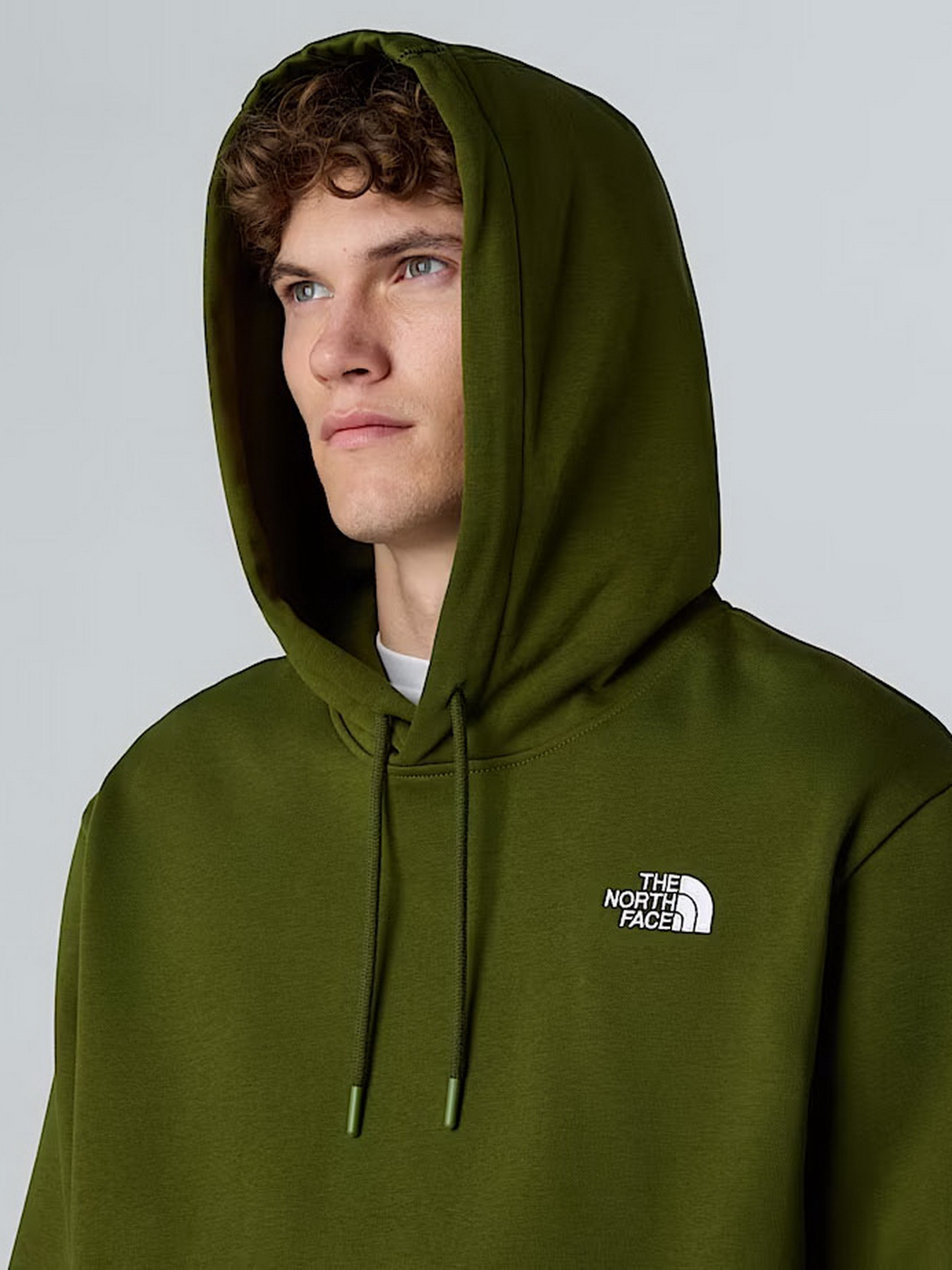 Худи и свитшоты The North Face Essential модель NF0A89ESBRI1 Худи и свитшоты The North Face Essential модель NF0A89ESBRI1 Фото