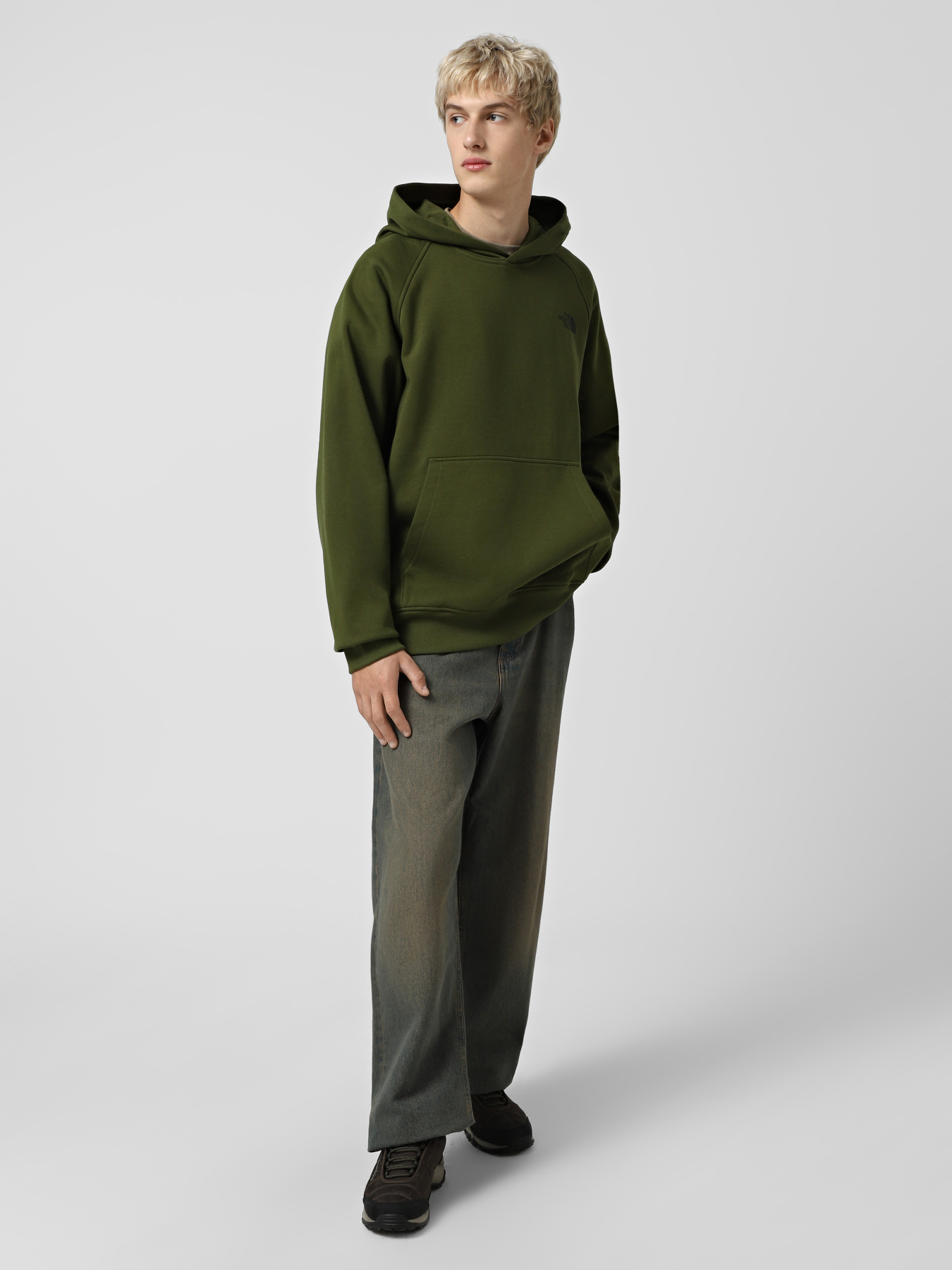 Худі та світшоти The North Face Raglan Box NSE модель NF0A89F9DIW1 Фото