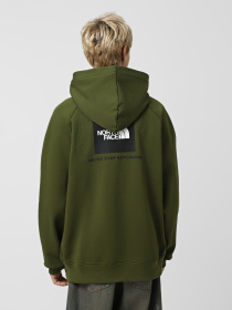 Худі та світшоти The North Face Raglan Box NSE модель NF0A89F9DIW1 Фото