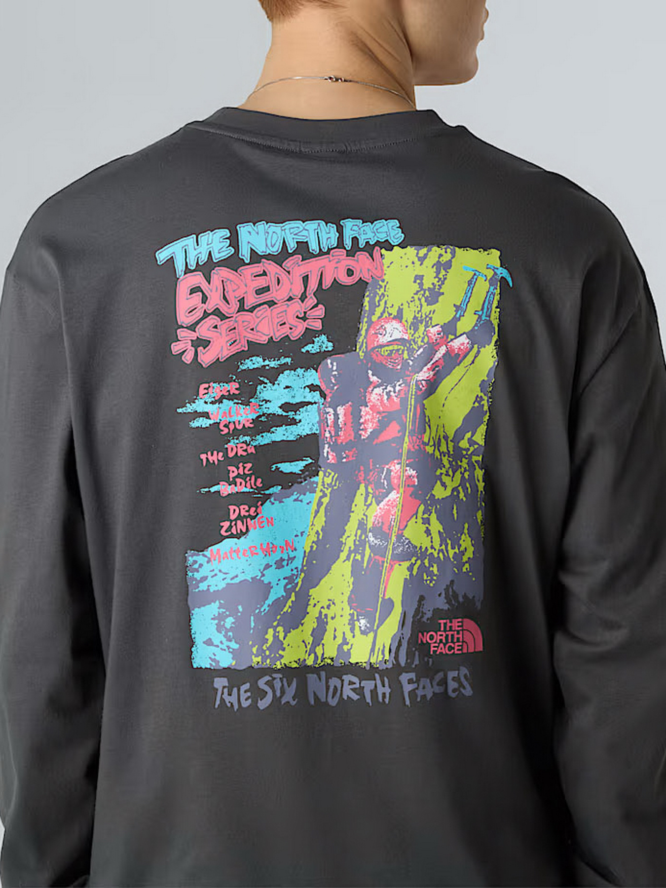 Худи и свитшоты The North Face Expedition Celebration модель NF0A8E3DRHI1 Фото