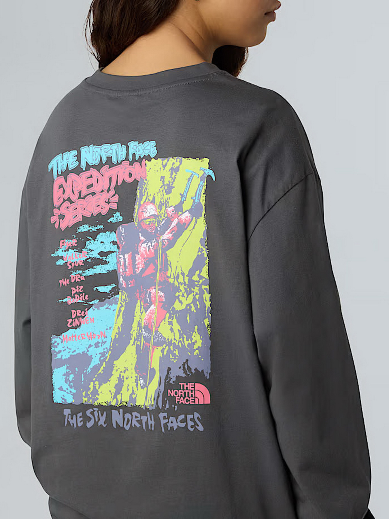 Худи и свитшоты The North Face Expedition Celebration модель NF0A8E3DRHI1 Фото