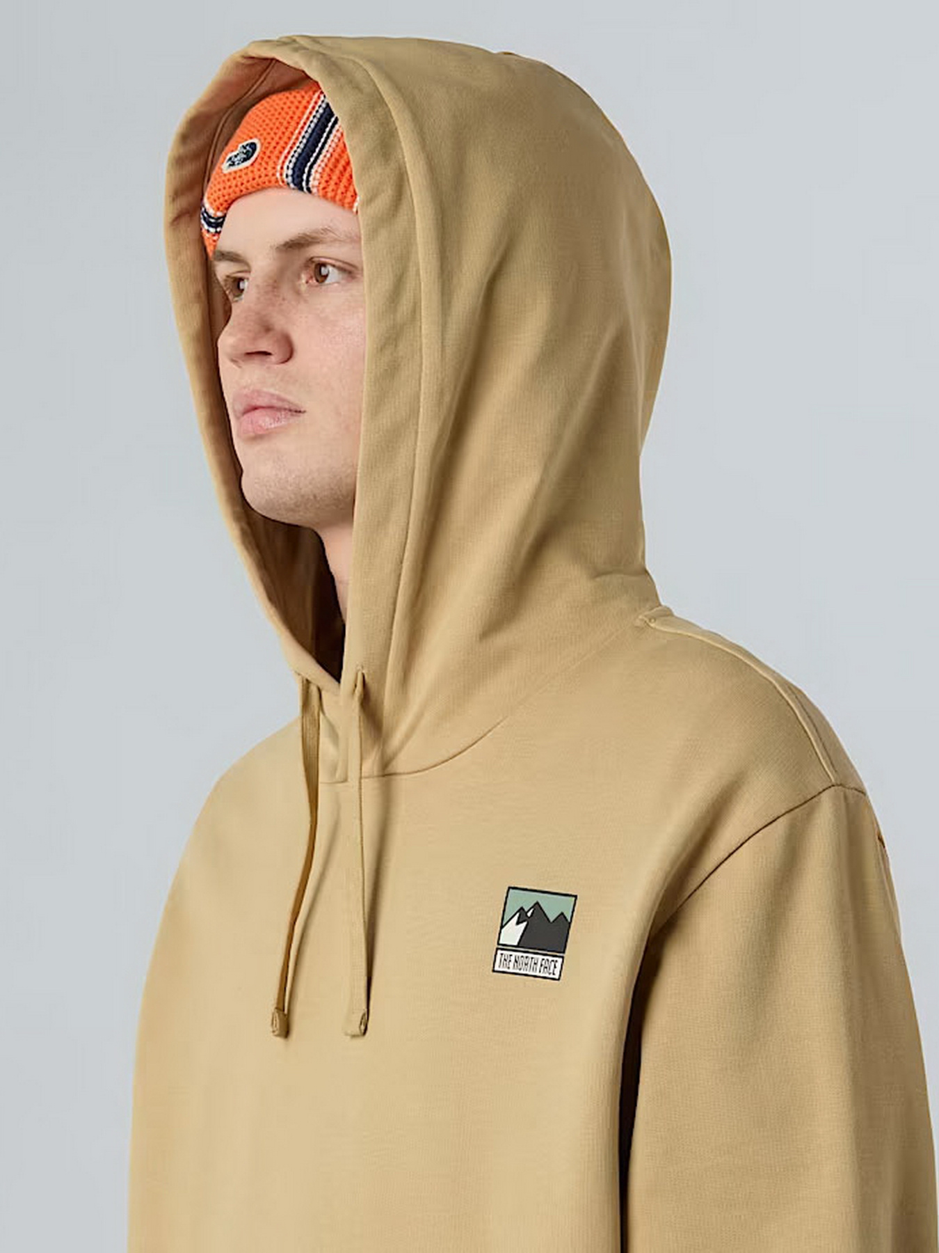 Худі та світшоти The North Face Mountain Logo модель NF0A8E3NLK51 Фото