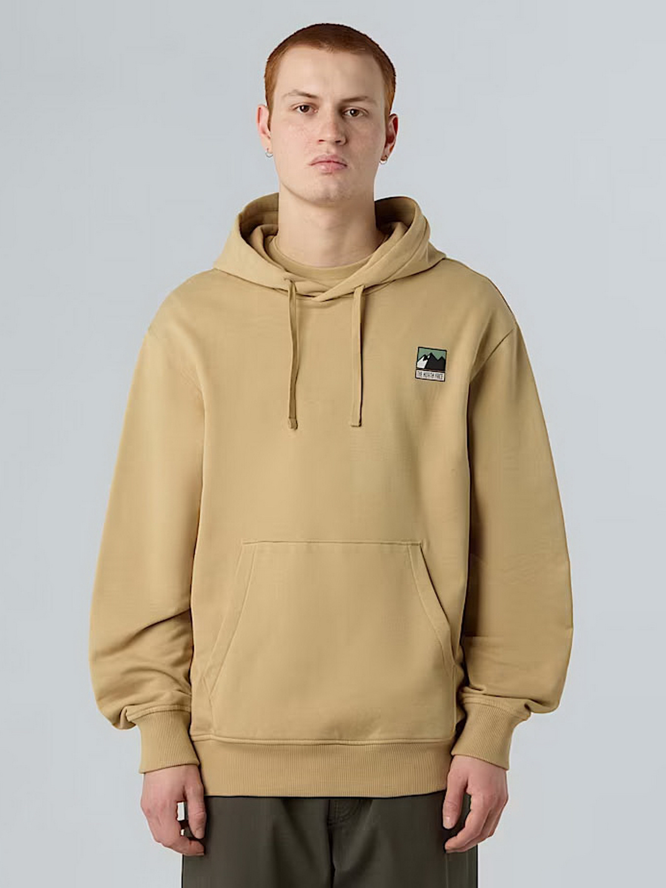 Худі та світшоти The North Face Mountain Logo модель NF0A8E3NLK51 Фото