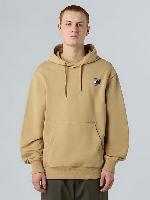 Худи и свитшоты The North Face Mountain Logo модель NF0A8E3NLK51 Фото
