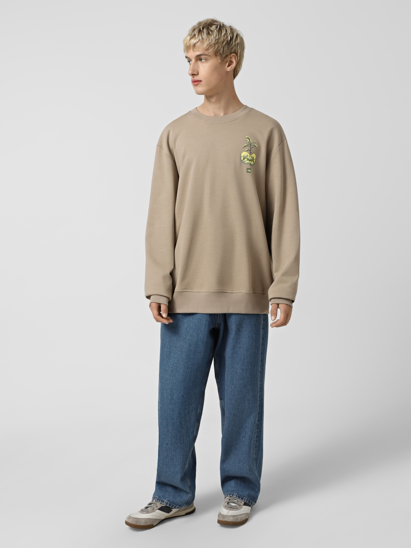 Худи и свитшоты The North Face Connect модель NF0A8E3ZBOX1 Фото