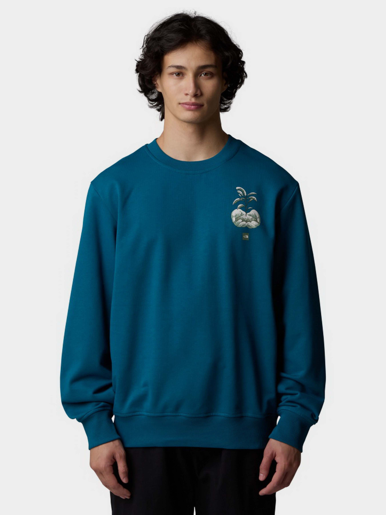Худи и свитшоты The North Face Connect модель NF0A8E3ZBSI1 Худи и свитшоты The North Face Connect модель NF0A8E3ZBSI1 Фото