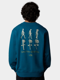 Худи и свитшоты The North Face Connect модель NF0A8E3ZBSI1 Фото