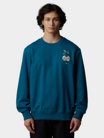 Худи и свитшоты The North Face Connect модель NF0A8E3ZBSI1 Фото