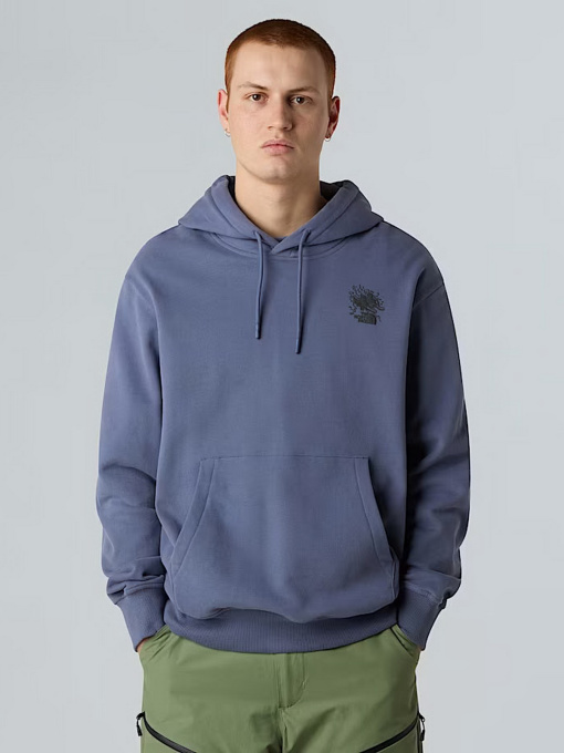 Худи и свитшоты The North Face Powder Days модель NF0A8E4GBTR1 Фото