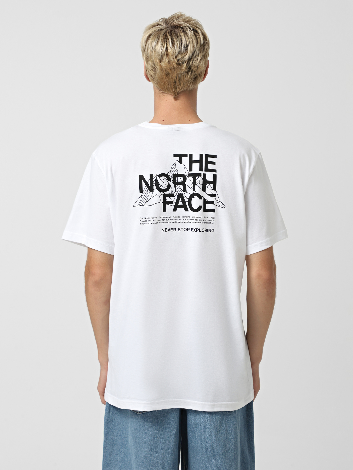 Футболки і поло The North Face Mountain Sketch модель NF0A8EE8FN41 Футболки і поло The North Face Mountain Sketch модель NF0A8EE8FN41 Фото