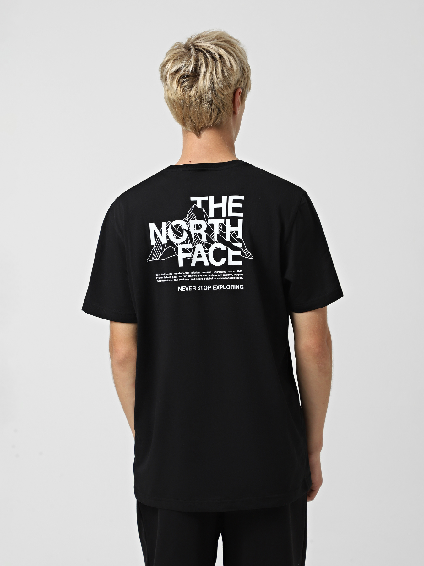 Футболки и поло The North Face Mountain Sketch модель NF0A8EE8JK31 Футболки и поло The North Face Mountain Sketch модель NF0A8EE8JK31 Фото