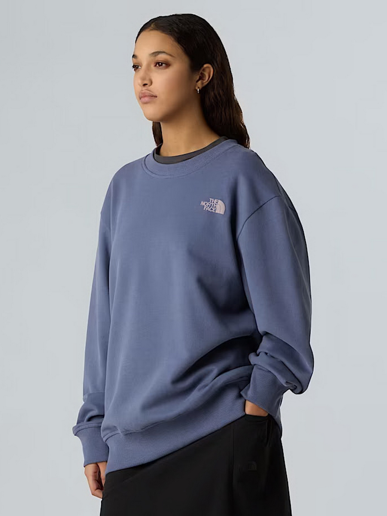 Худі та світшоти The North Face модель NF0A8EU5BTR1 Худі та світшоти The North Face модель NF0A8EU5BTR1 Фото