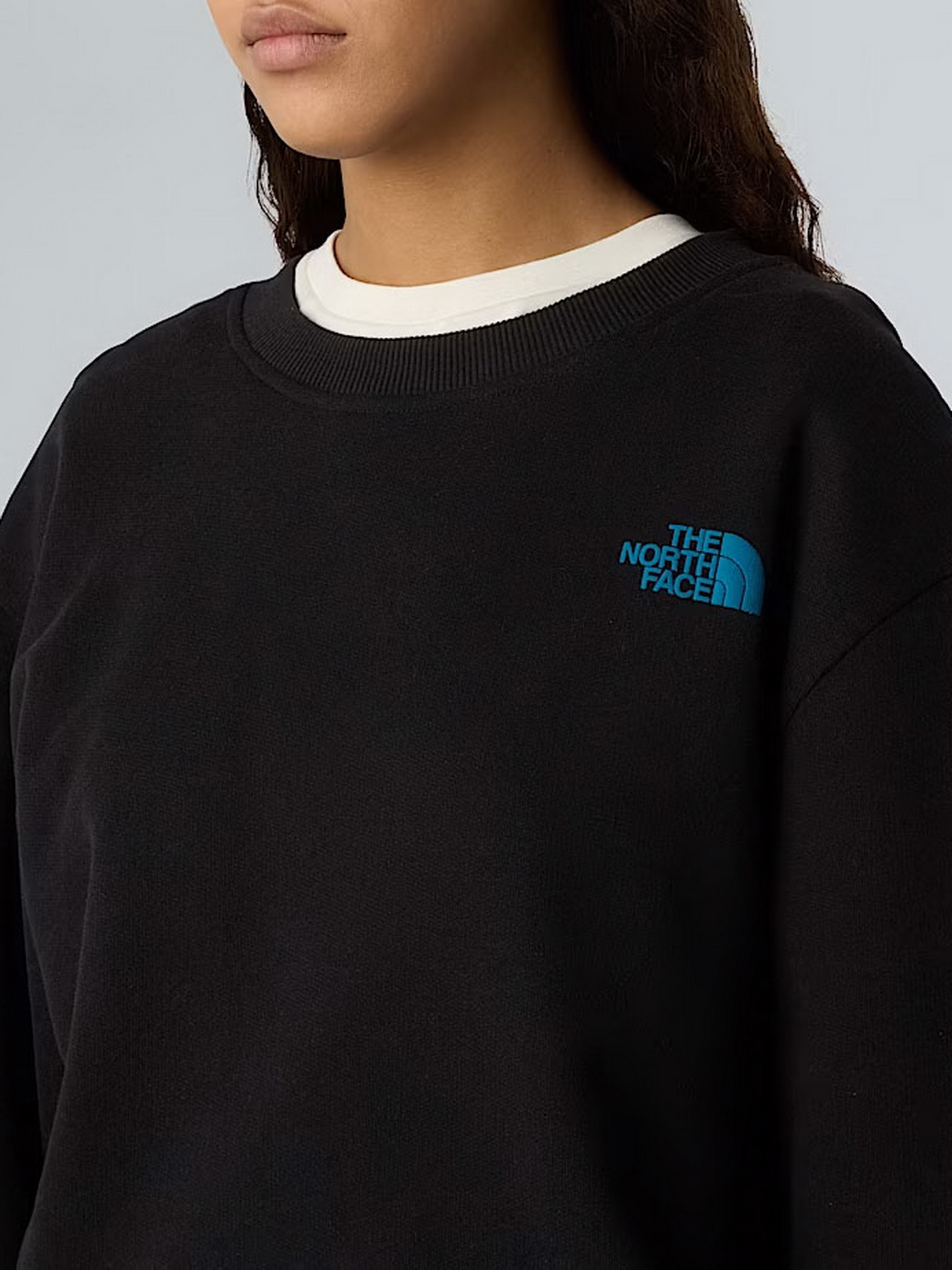 Худі та світшоти The North Face модель NF0A8EU5JK31 Худі та світшоти The North Face модель NF0A8EU5JK31 Фото