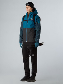 Куртки та дублянки The North Face модель NF0A87GNEIF1 Фото