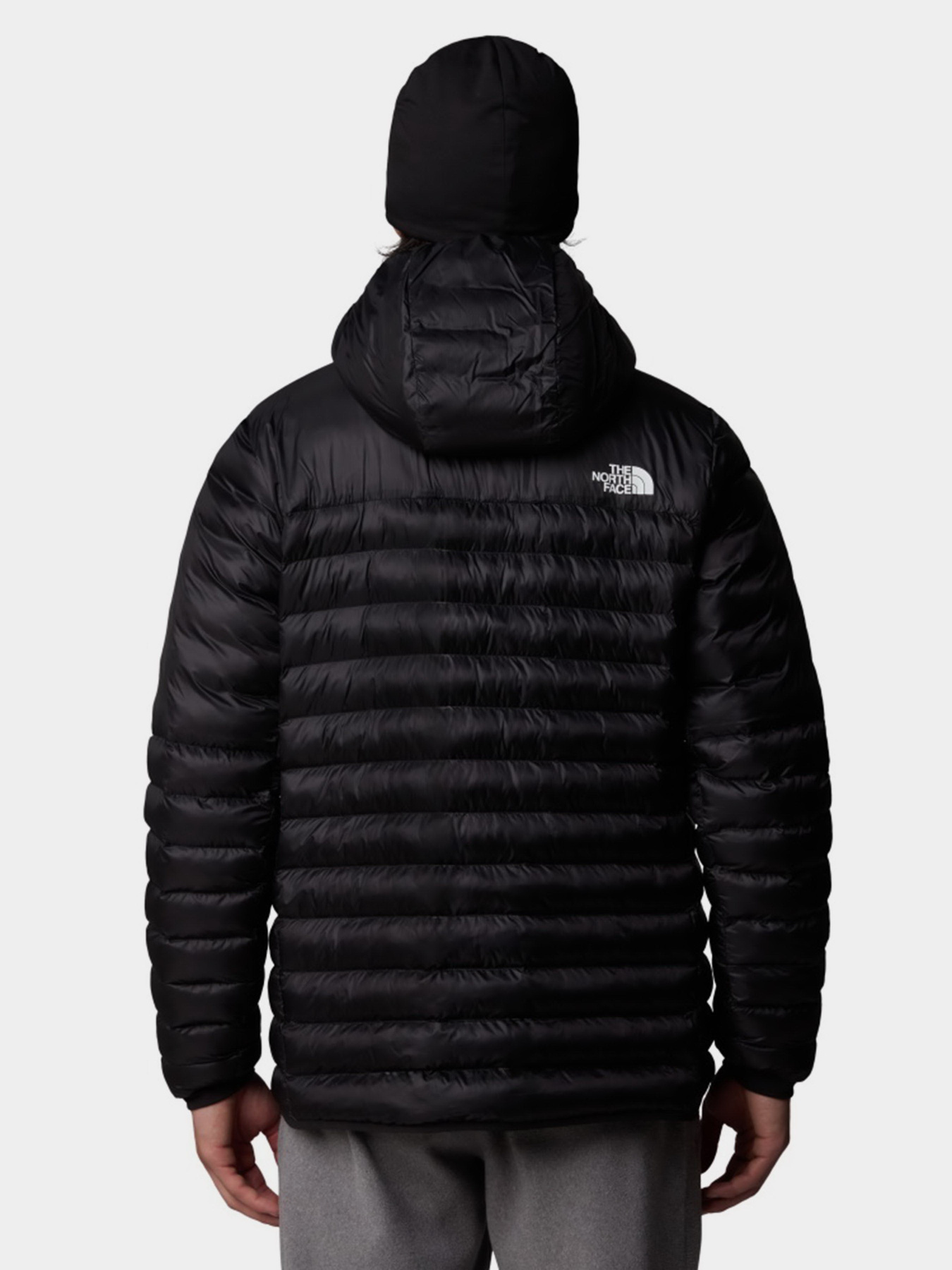 Куртки та дублянки The North Face Terra Peak модель NF0A88TVJK31 Фото