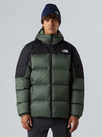 Куртки и дубленки The North Face Diablo Down 2.0 модель NF0A8992EIH1 Фото