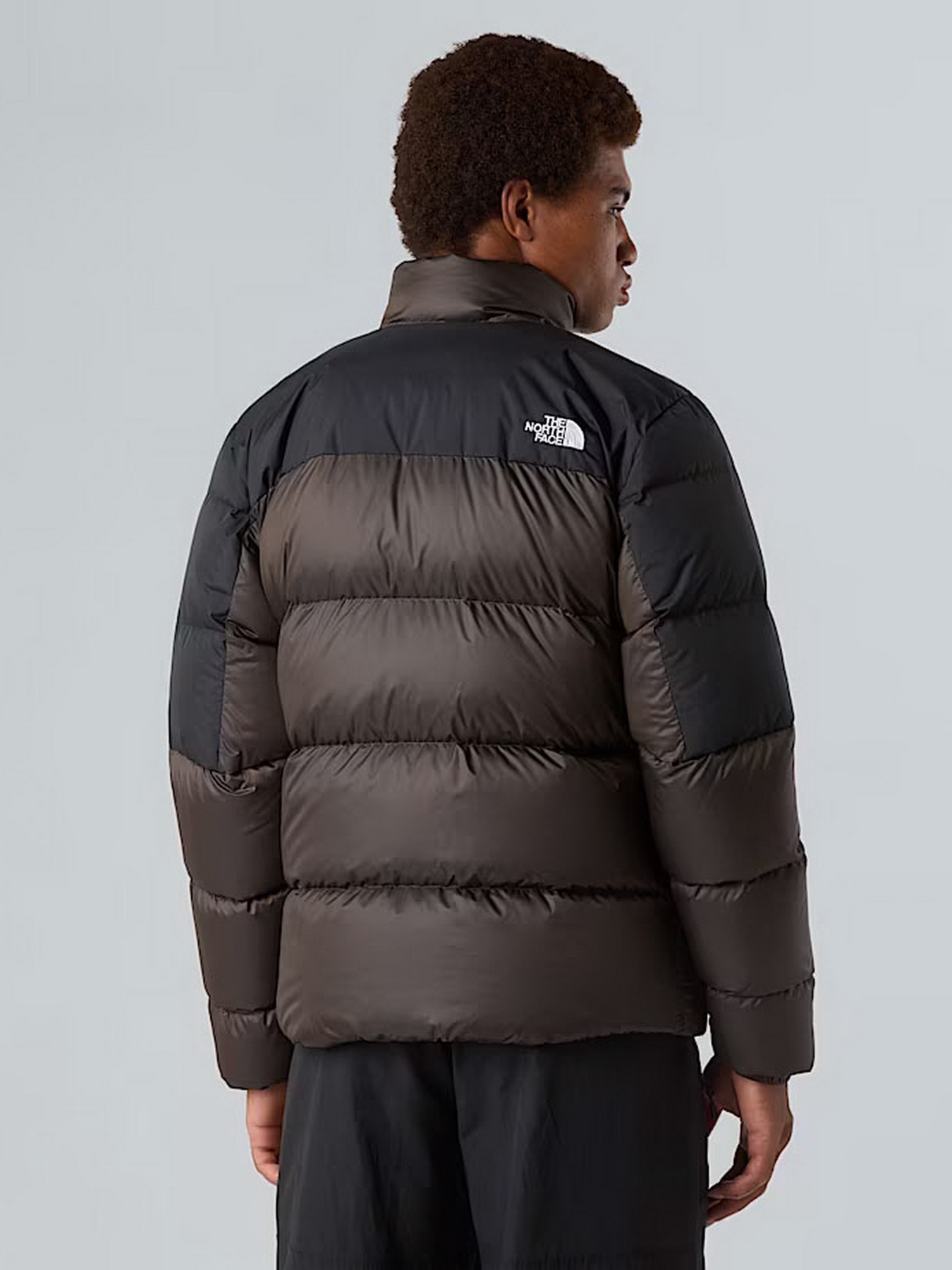 Куртки и дубленки The North Face Diablo Down 2.0 модель NF0A89930BI1 Фото