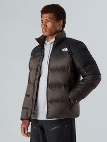 Куртки и дубленки The North Face Diablo Down 2.0 модель NF0A89930BI1 Фото