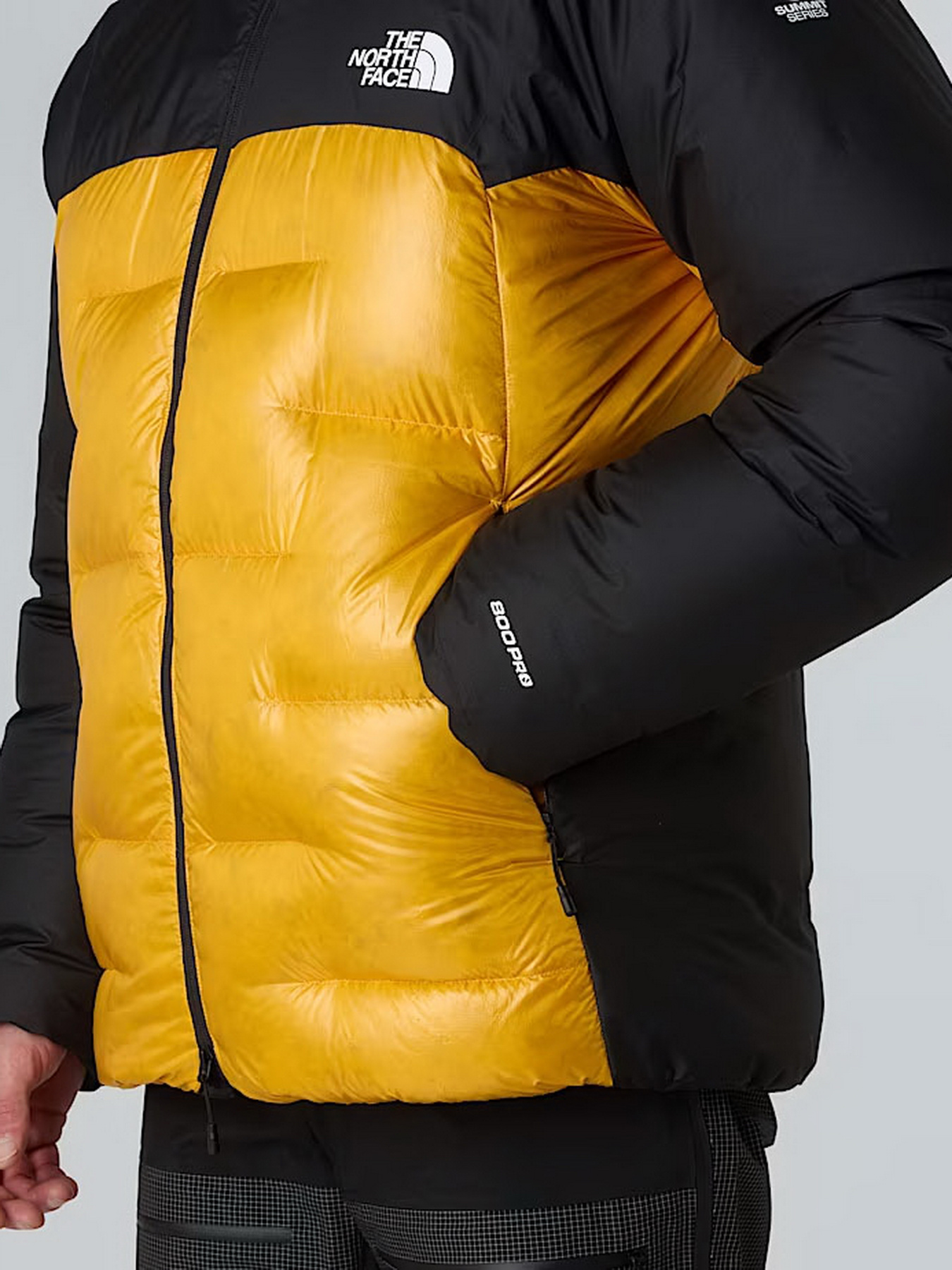Куртки та дублянки The North Face модель NF0A8C95ZU31 Фото