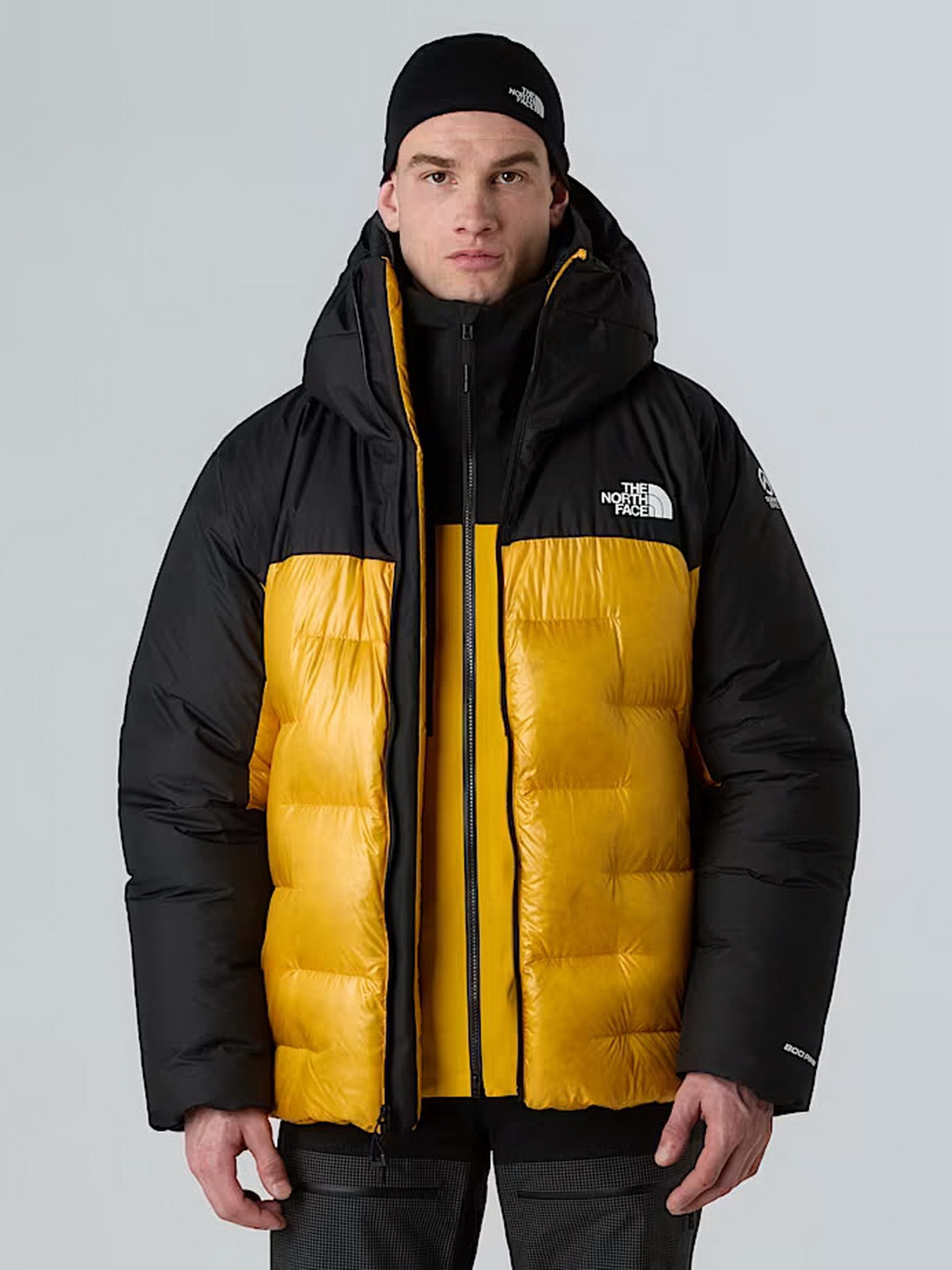 Куртки та дублянки The North Face модель NF0A8C95ZU31 Фото