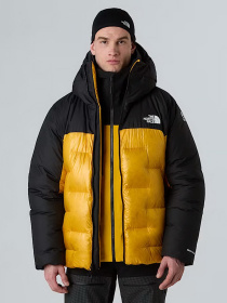 Куртки та дублянки The North Face модель NF0A8C95ZU31 Фото
