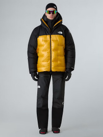 Куртки та дублянки The North Face модель NF0A8C95ZU31 Фото
