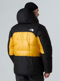 Куртки та дублянки The North Face модель NF0A8C95ZU31 Фото