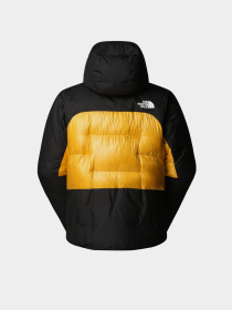 Куртки та дублянки The North Face модель NF0A8C95ZU31 Фото