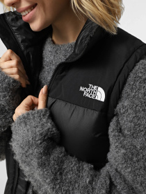 Куртки та дублянки The North Face модель NF0A8E15PH51 Фото