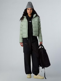 Куртки та дублянки The North Face модель NF0A8E73BQ11 Фото