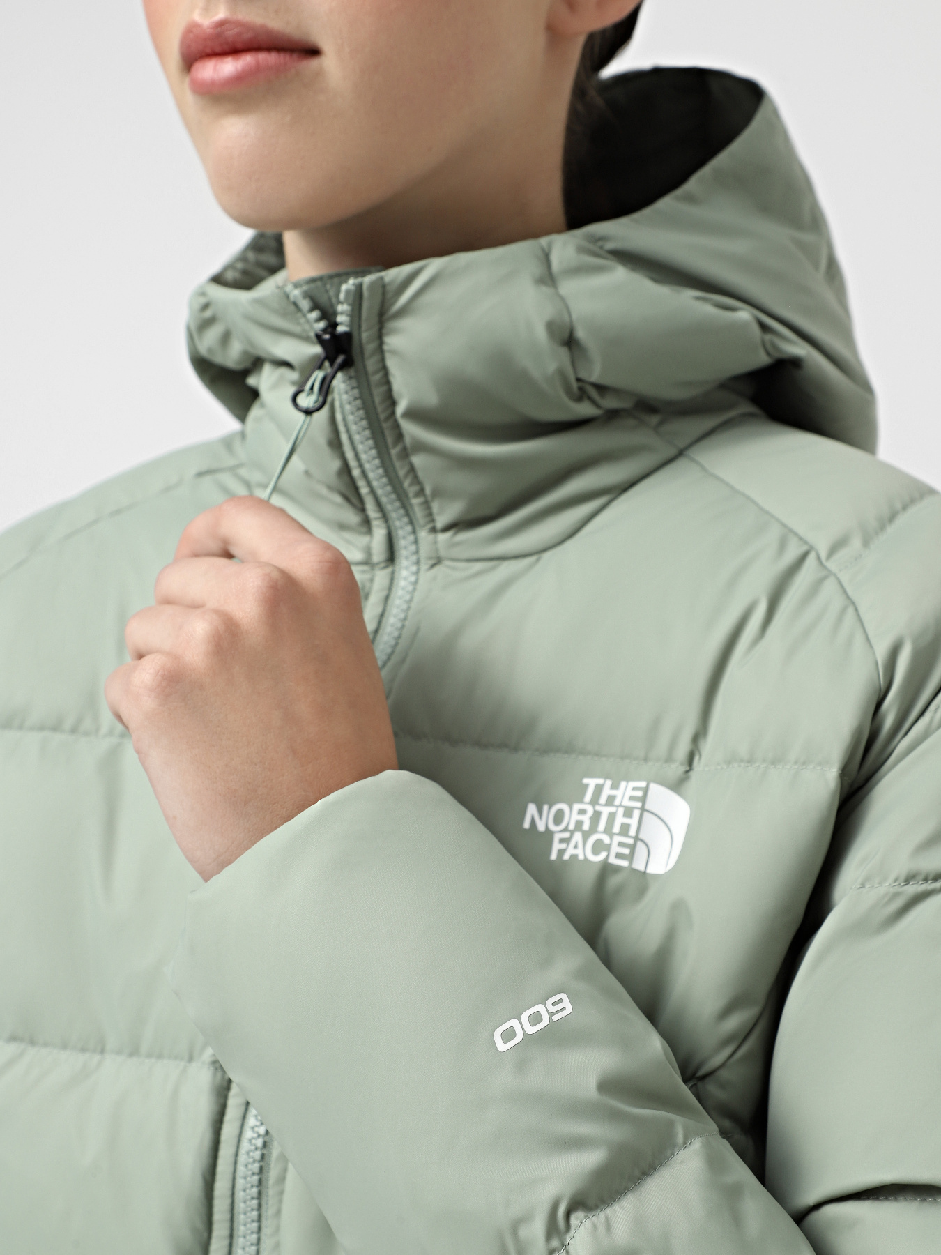 Куртки та дублянки The North Face Hyalite модель NF0A8E75BQ11 Фото