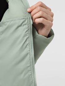 Куртки та дублянки The North Face Hyalite модель NF0A8E75BQ11 Фото