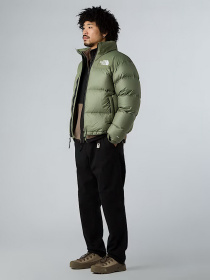 Куртки та дублянки The North Face модель NF0A3C8DBO91 Фото