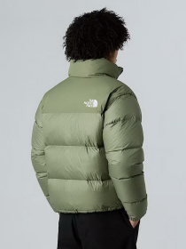 Куртки та дублянки The North Face модель NF0A3C8DBO91 Фото