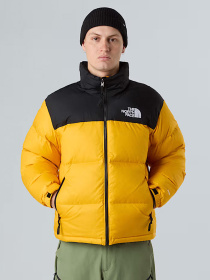Куртки та дублянки The North Face модель NF0A3C8DGO81 Фото