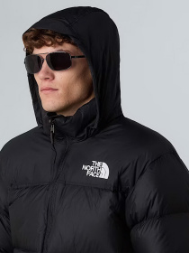 Куртки и дубленки The North Face модель NF0A3C8DGOE1 Фото