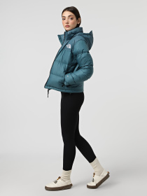 Куртки та дублянки The North Face модель NF0A3XEOBQ51 Фото