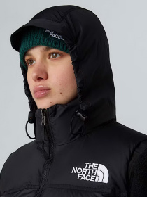 Куртки и дубленки The North Face Retro Nuptse модель NF0A3XEPGOF1 Фото