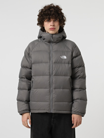 Куртки та дублянки The North Face модель NF0A5GIE0UZ1 Фото