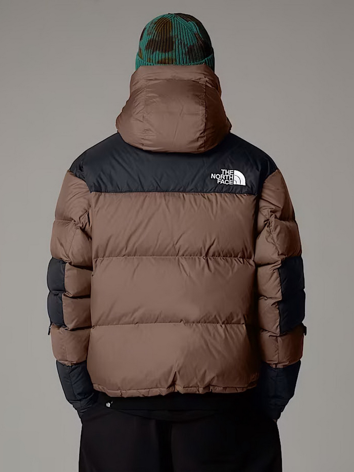 Куртки та дублянки The North Face модель NF0A832GDHL1 Фото