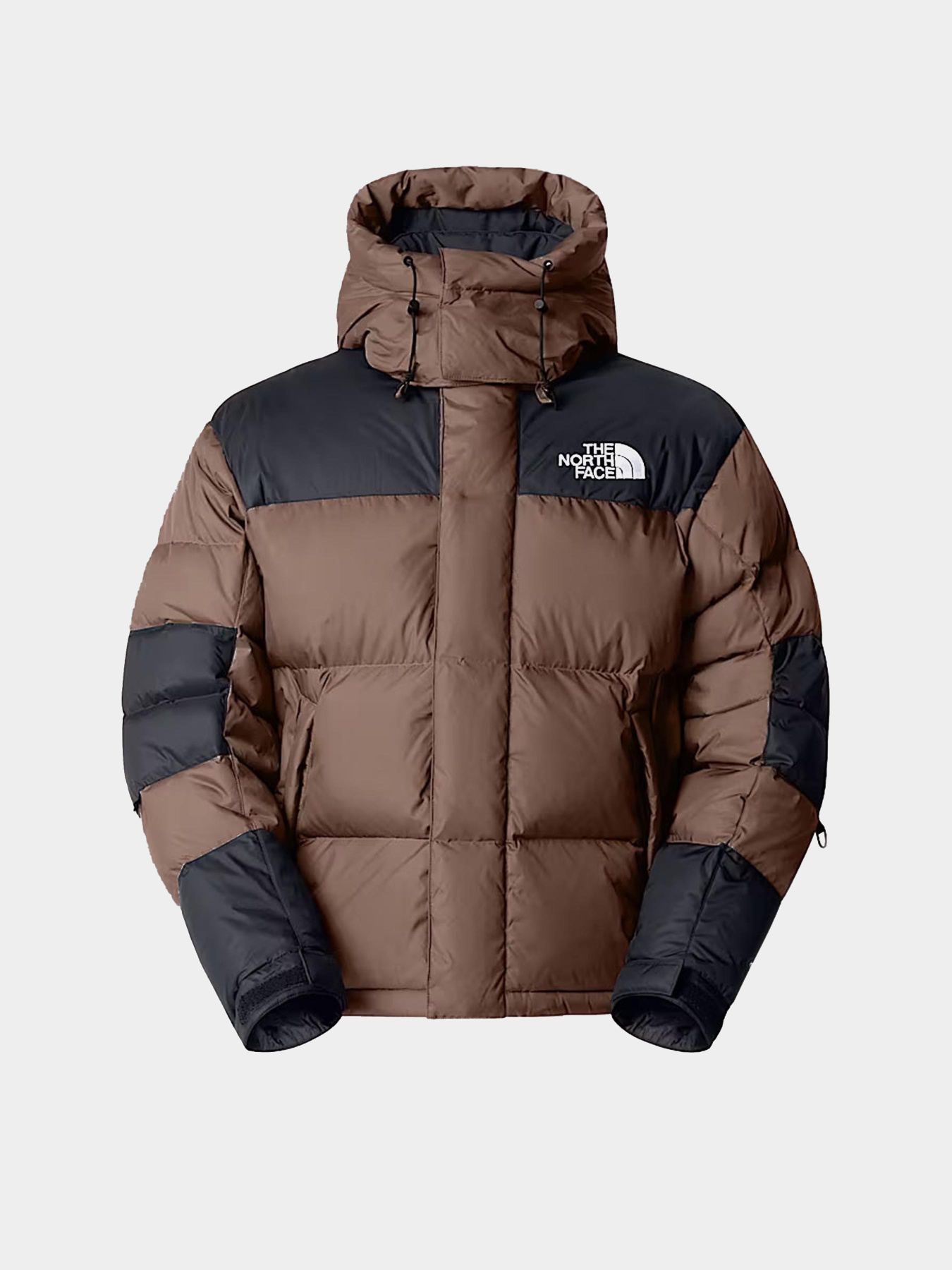 Куртки та дублянки The North Face модель NF0A832GDHL1 Фото