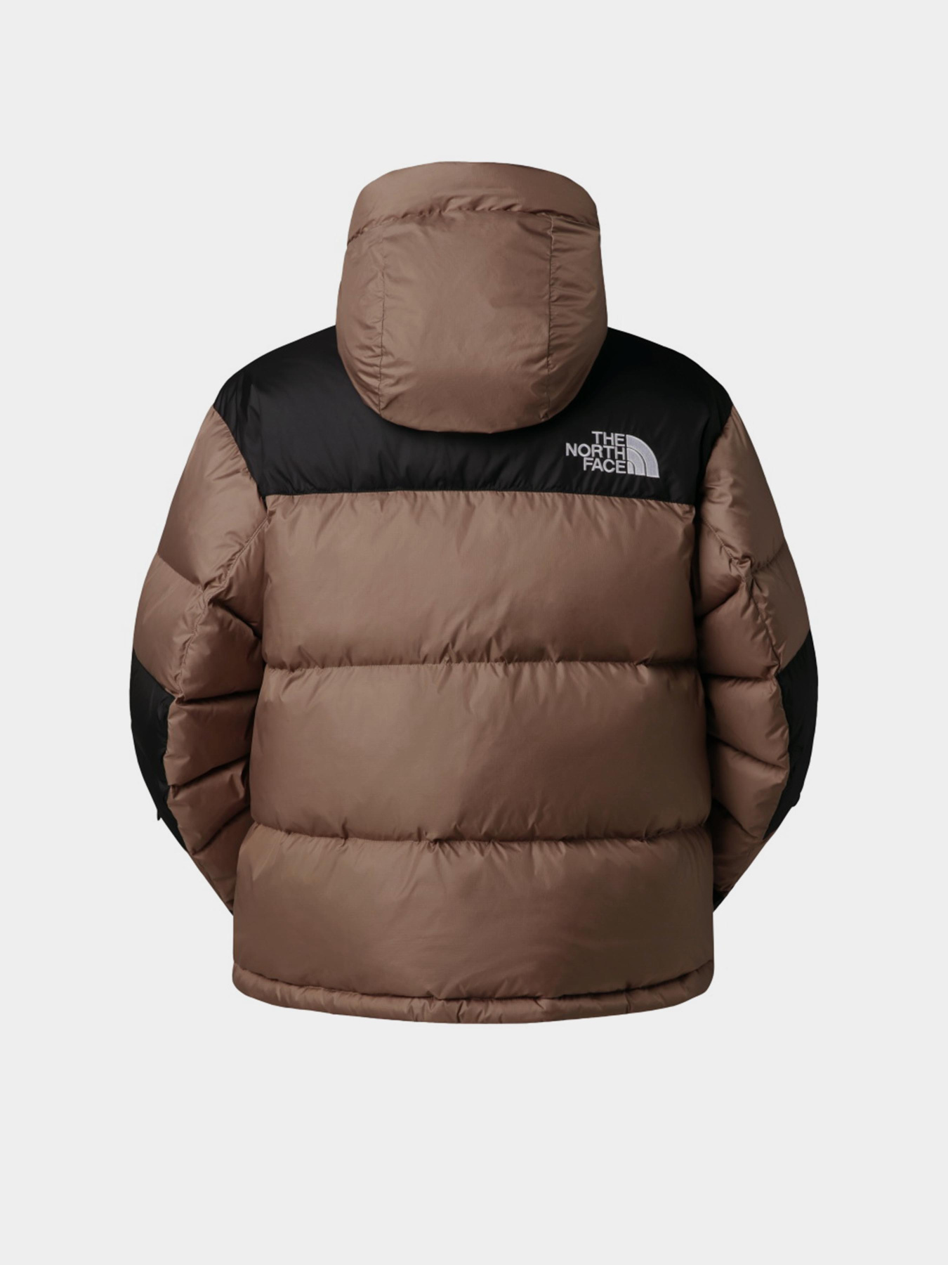 Куртки та дублянки The North Face модель NF0A832GDHL1 Фото