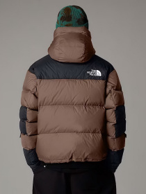 Куртки та дублянки The North Face модель NF0A832GDHL1 Фото