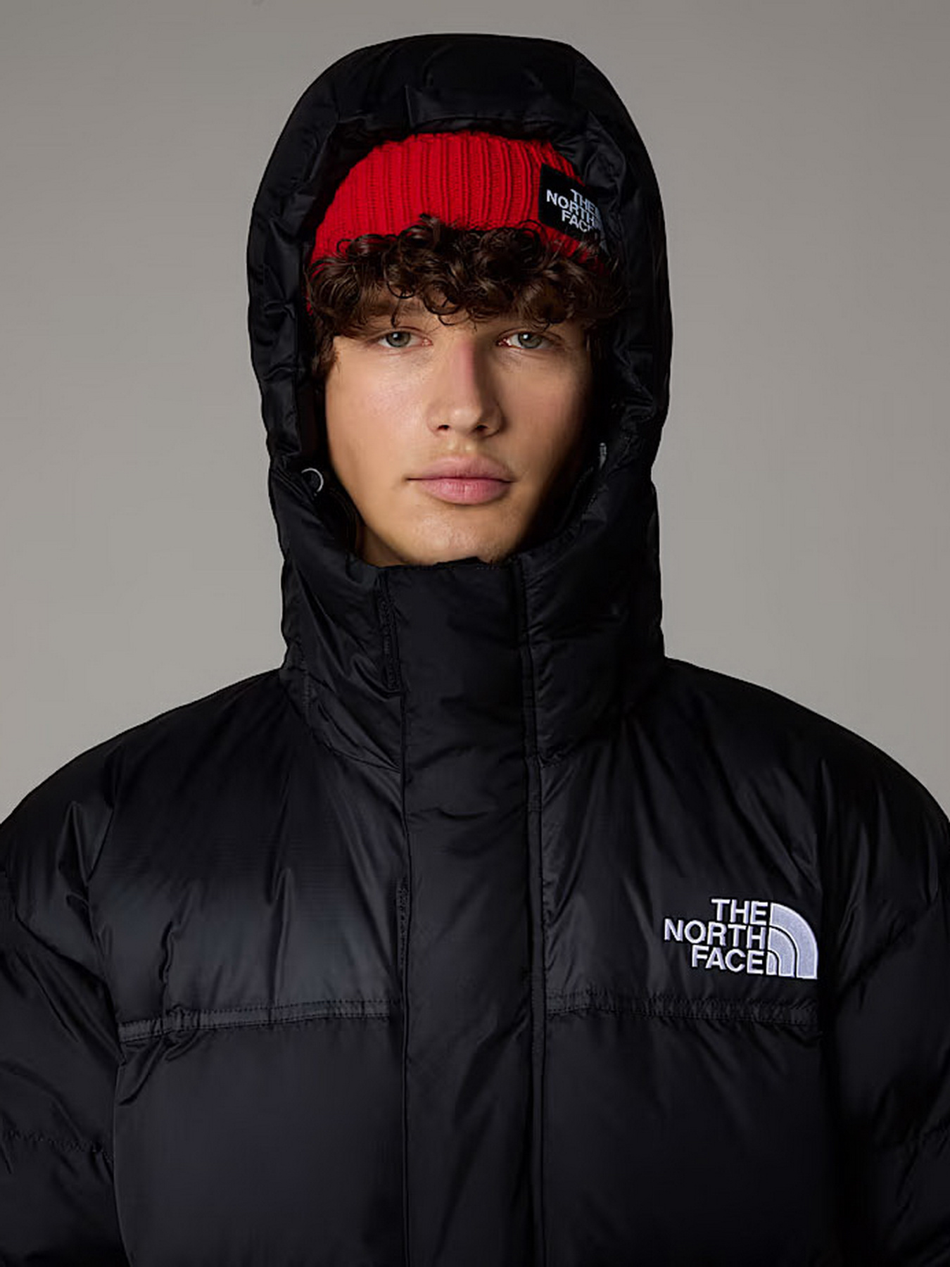 Куртки та дублянки The North Face модель NF0A832JGOE1 Фото