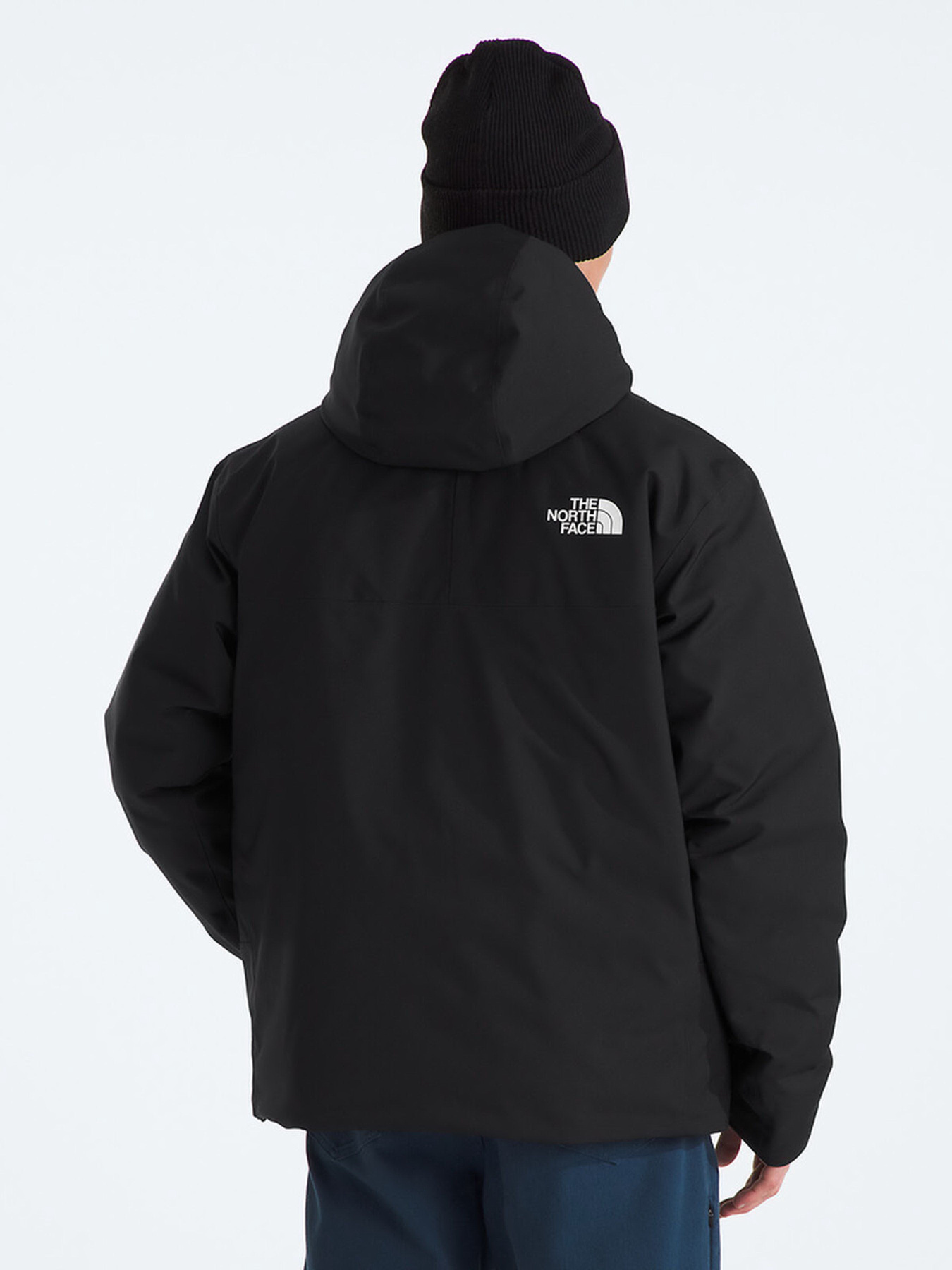 Куртки и дубленки The North Face модель NF0A88WDKX71 Фото