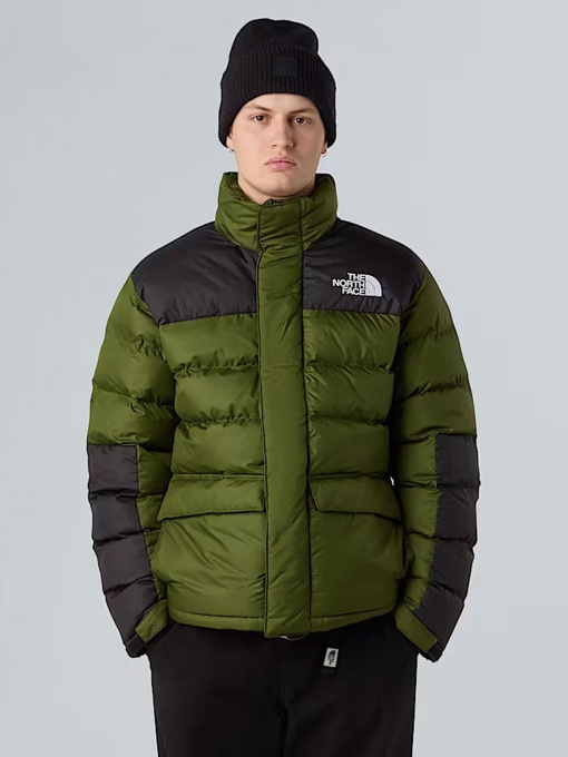 Куртки та дублянки The North Face модель NF0A89EGBRI1 Фото