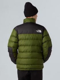 Куртки и дубленки The North Face модель NF0A89EGBRI1 Фото